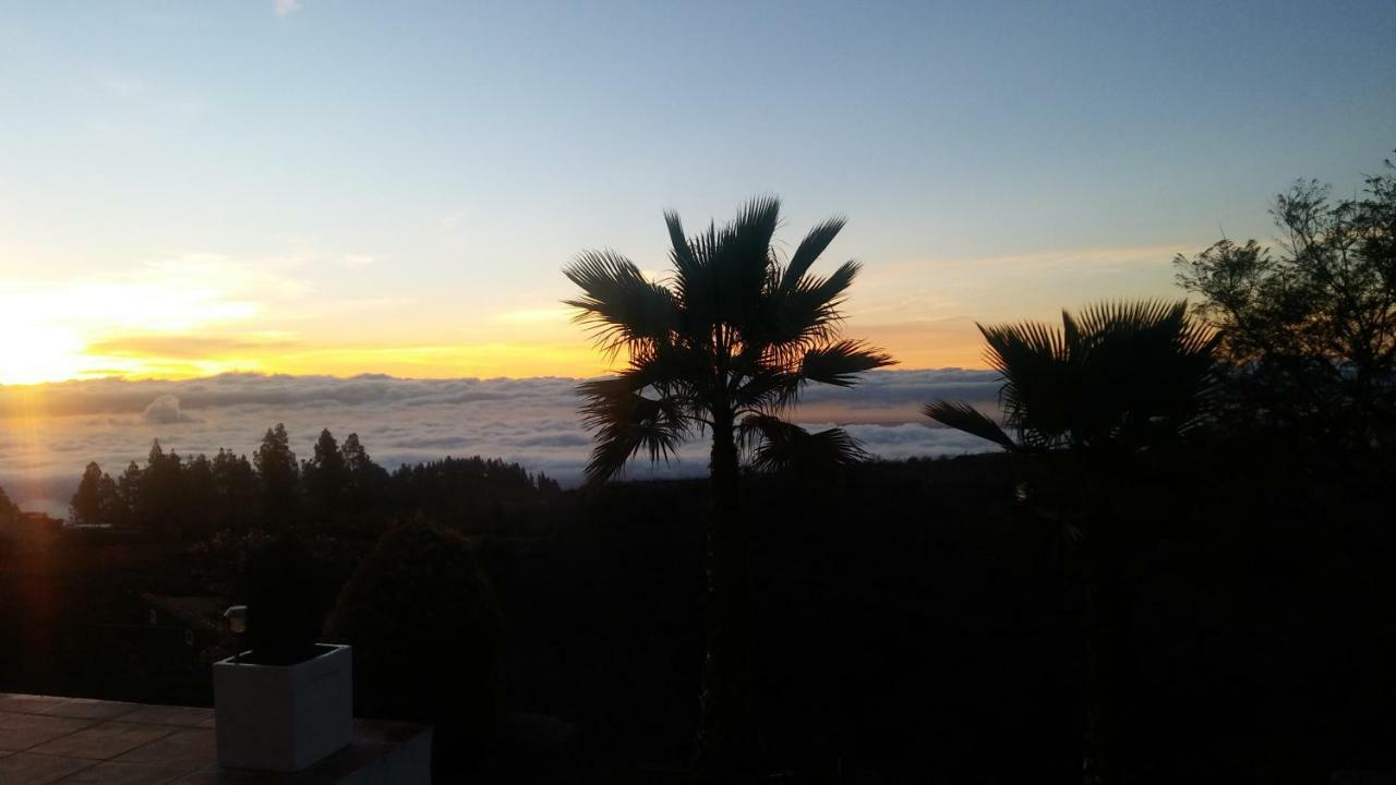 Finca Dulce Maikel Granadilla De Abona Buitenkant foto