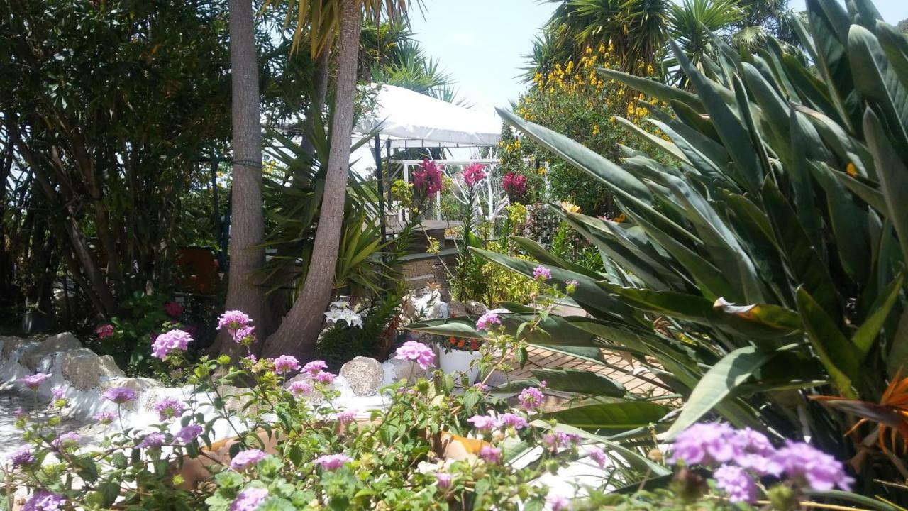 Finca Dulce Maikel Granadilla De Abona Buitenkant foto