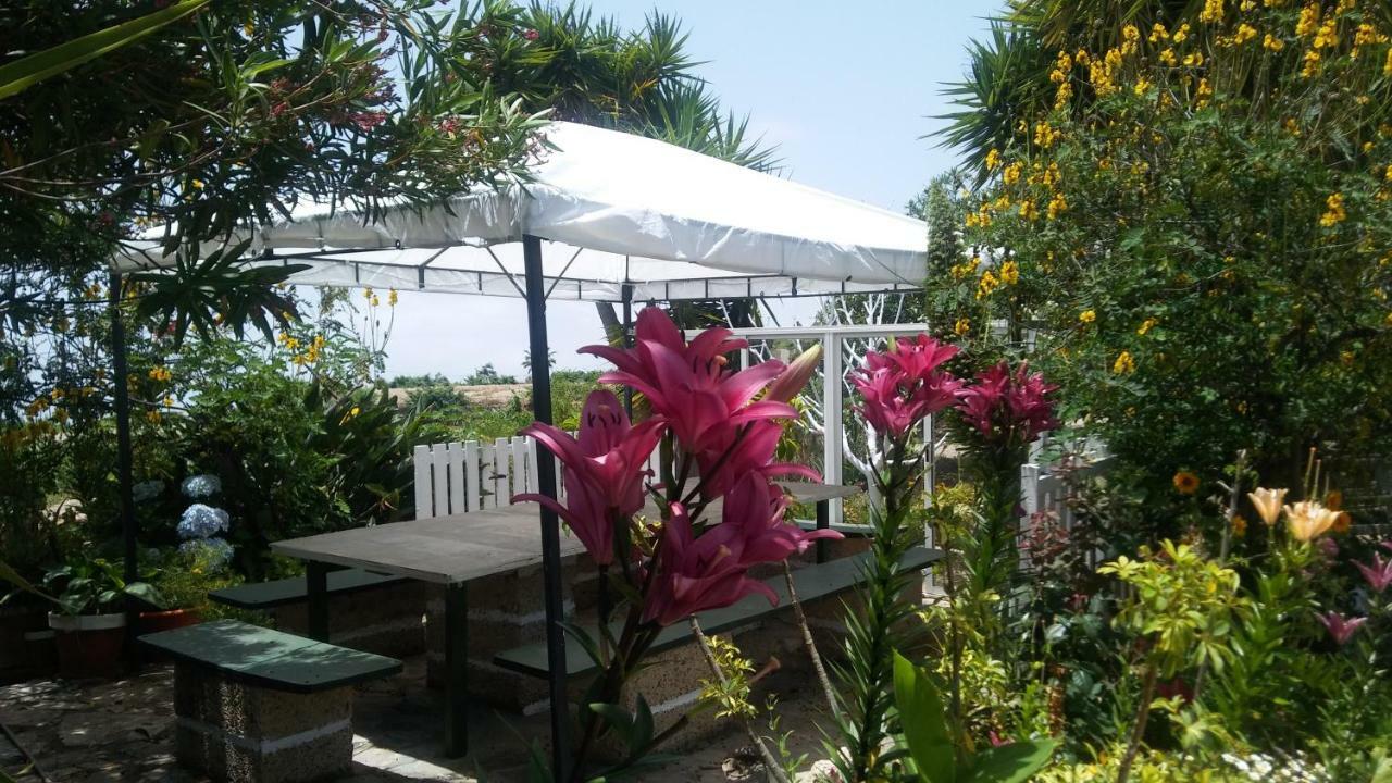 Finca Dulce Maikel Granadilla De Abona Buitenkant foto