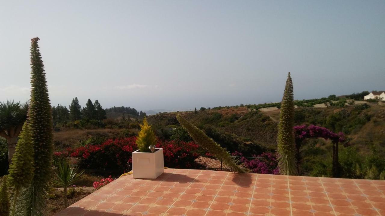 Finca Dulce Maikel Granadilla De Abona Buitenkant foto
