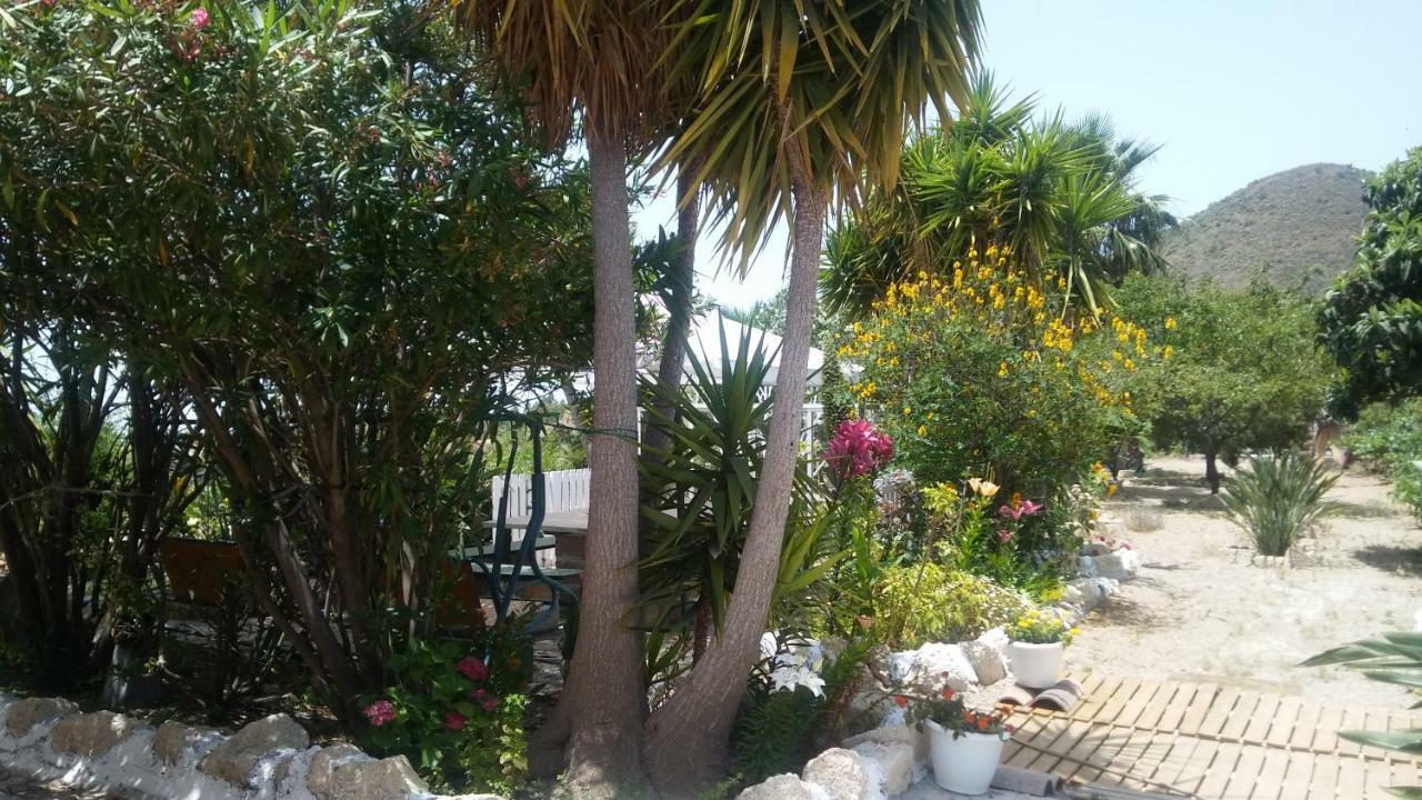 Finca Dulce Maikel Granadilla De Abona Buitenkant foto